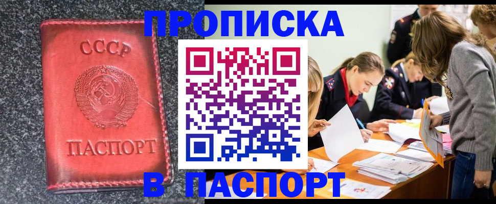 прописка для школы в Шадринске